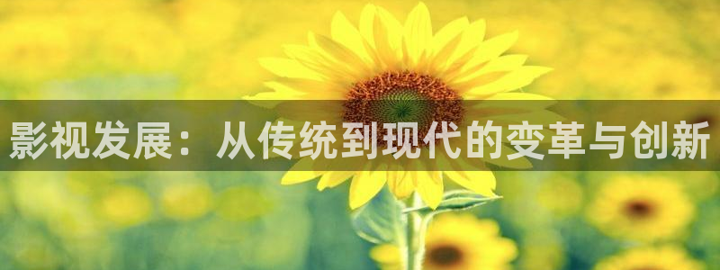 奇奇电影：影视发展：从传统到现代的变革与创新