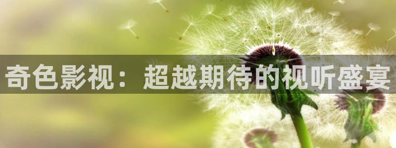 奇奇影院手机版：奇色影视：超越期待的视听盛宴