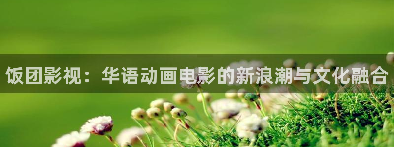 奇奇影院免费观看：饭团影视：华语动画电影的新浪潮与文化融合