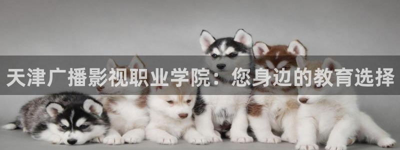 奇奇影院免费在线看：天津广播影视职业学院：您身边的教育选择
