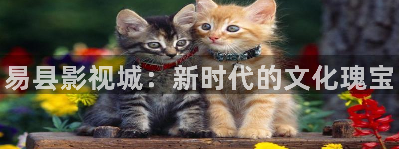 奇奇米影视第四色：易县影视城：新时代的文化瑰宝