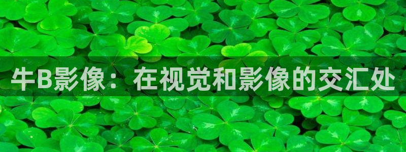 奇奇电影：牛B影像：在视觉和影像的交汇处