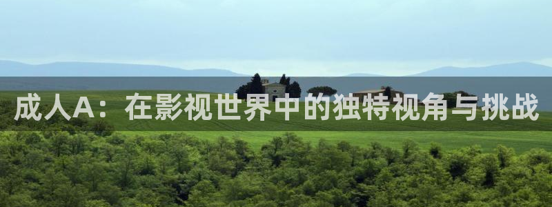 不卡神马奇奇影院：成人A：在影视世界中的独特视角与挑战